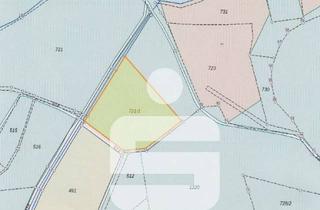 Gewerbeimmobilie kaufen in 95632 Wunsiedel, Waldstück im Zeitelmoos