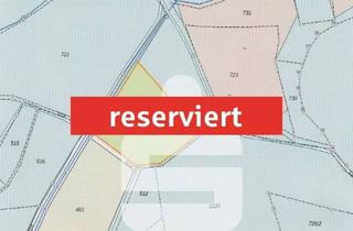 Gewerbeimmobilie kaufen in 95632 Wunsiedel, Waldstück im Zeitelmoos
