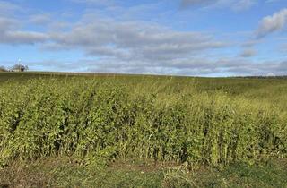 Gewerbeimmobilie kaufen in 84187 Weng, Verkauf von landwirtschaftlicher Fläche Nähe Hinzlbach