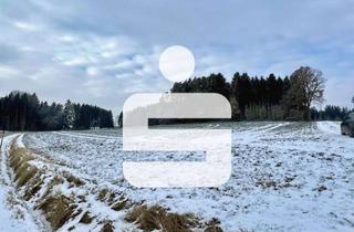 Gewerbeimmobilie kaufen in 84140 Gangkofen, Ackerfläche nahe Kollbach