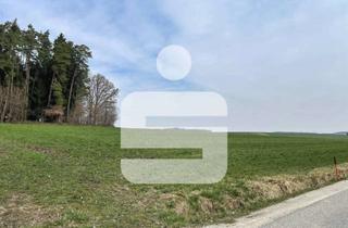 Gewerbeimmobilie kaufen in 84140 Gangkofen, Ackerfläche Nähe Kollbach/Taubendorf