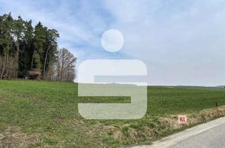 Gewerbeimmobilie kaufen in 84140 Gangkofen, Ackerfläche Nähe Kollbach/Taubendorf