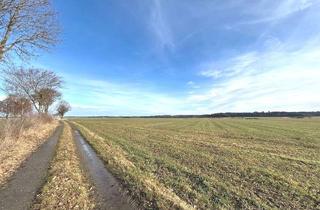 Gewerbeimmobilie kaufen in 86498 Kettershausen, *** Ackerfläche in der Gemarkung Kettershausen ***