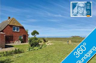 Haus kaufen in 25859 Hallig Hooge, FREI // Hallig Hooge // Resthof // Glasfaser // Meerblick // UNESCO-Weltnaturerbe