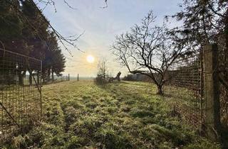 Doppelhaushälfte kaufen in 16775 Gransee, Doppelhaushälfte mit Fertigteilgarage und großem Grundstück!