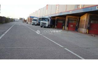 Büro zu mieten in 01689 Niederau, Produktions- und Lagerhalle mit Bürofläche!