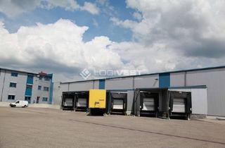 Gewerbeimmobilie mieten in 01662 Meißen, Optimale Produktions- und Lagerhalle nahe der Autobahn!