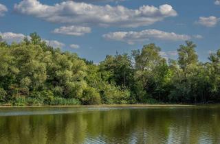 Immobilie kaufen in 32469 Petershagen, Baggersee-Grundstücke u. Wasserflächen, ca. 30 ha, in Petershagen, Mittelweser, zu verkaufen
