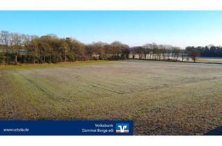 Immobilie kaufen in 49439 Steinfeld, 2,2 Hektar Ackerland an der Stunnebäke zu verkaufen!