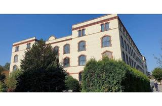 Haus kaufen in 01809 Heidenau, Heidenau - Das Loft - individuell-modern-geräumig-vielfältig-einzigartig