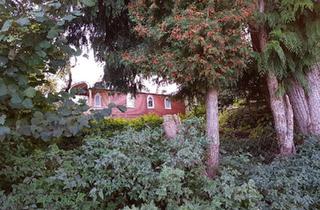 Haus kaufen in 86865 Markt Wald, Markt Wald - Zirkuswagen