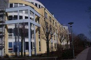 Wohnung mieten in Ludwigstraße 65, 67657 Innenstadt, Renoviertes, großzügiges Appartement freut sich auf neuen Mieter