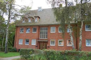 Wohnung mieten in Brandenbaumer Landstr. 46, 23564 St. Gertrud, Brandenbaumer Landstr. 46, 3 1/2 Zimmer Dachgeschoss