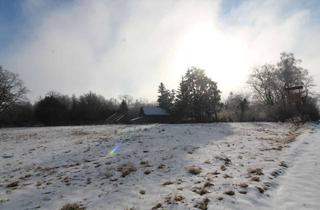 Haus kaufen in Höhenberg, 93095 Hagelstadt, KLEINES ANWESEN ABZUGEBEN