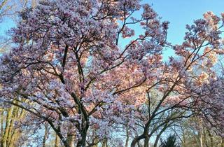 Haus mieten in 49624 Löningen, Erstbezug nach Kernsanierung, Schönes Haus mit Garten, energieeffizient saniert