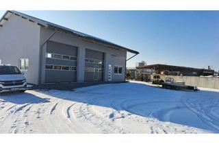 Büro zu mieten in 94356 Kirchroth, Ausstellungshalle - Garagen mit Büro und Galerie, große Freifläche nähe A 3, Kirchroth