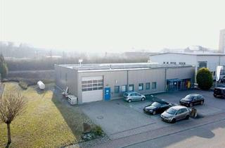 Gewerbeimmobilie kaufen in 75031 Eppingen, Attraktive Gewerbehalle mit Verkaufsfläche+Erweiterungspotential in Top-Lage zu verkaufen!