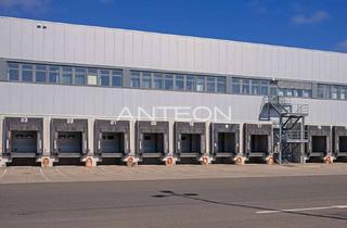 Gewerbeimmobilie mieten in 40822 Mettmann, Projektentwicklung Logistik | Teilweise WGK | Rampen & ebenerdig