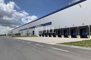 Gewerbeimmobilie mieten in 15834 Rangsdorf, Moderner Logistikpark