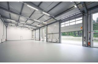 Gewerbeimmobilie mieten in Max-Planck-Str., 21502 Geesthacht, Produktionsstätte im Technologiezentrum