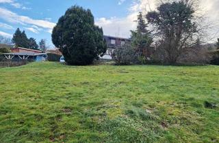 Grundstück zu kaufen in 32457 Porta Westfalica, Baugrundstück am Waldrand