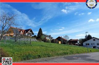 Grundstück zu kaufen in 55444 Eckenroth, Großzügiges Baugrundstück in ruhiger Lage