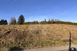 Grundstück zu kaufen in 58553 Halver, Halver-Oberbrügge: Sonniges Baugrundstück - ca. 7.500qm - unverbaubare Fernsicht