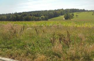 Grundstück zu kaufen in Enzianweg 30, 73614 Schorndorf, Traumgrundstück mit Feldblick und Südlage im Stadtteil Oberberken