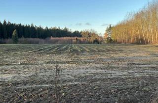 Immobilie kaufen in 49577 Eggermühlen, Ca. 3 ha Ackerland in Eggermühlen- Döthen gegen Höchstgebot zu verkaufen