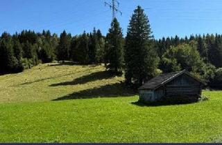 Gewerbeimmobilie kaufen in 82494 Krün, **VERKAUFT** ! Landwirtschaftlicher Grund mit Heustadel in Krün / Ortsteil Barmsee