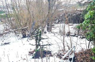 Grundstück zu kaufen in 09496 Marienberg, ***sattes Grün und viel Natur! im Mischgebiet Grundstück für Liebhaber!***