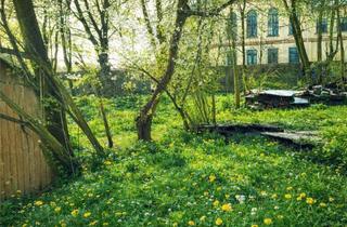 Grundstück zu kaufen in 09496 Marienberg, ***sattes Grün und viel Natur! im Mischgebiet Grundstück für Liebhaber!***