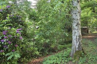 Grundstück zu kaufen in 09496 Marienberg, ***sattes Grün und viel Natur! im Mischgebiet Grundstück für Liebhaber!***