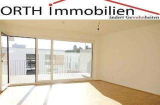 Wohnung mieten in An Der Lingenmühle 12, 41061 Mönchengladbach, Moderne 3 Zimmer Wohnung mit EBK, Sonnenterrasse, Fernblick. Frisch renoviert.