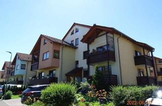 Wohnung mieten in In Der Kranenbleis, 76726 Germersheim, schöne 2 Zimmer Untergeschoss Wohnung in Germersheim zu vermieten (63) (ID1497)