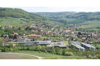 Wohnung mieten in Heuholzer Straße 11, 74629 Pfedelbach, 3-Zimmer Wohnung mit Balkon im 1. OG in Untersteinbach