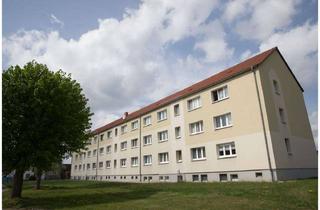 Wohnung mieten in Alte Torgauer Straße 36, 04916 Herzberg, Frisch renoviert & hell – Ihre neue 2-Raum-Wohnung in Züllsdorf