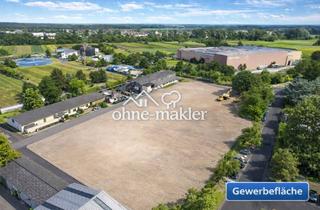 in 63801 Kleinostheim, Exklusive Gewerbefläche in Kleinostheim zur Miete