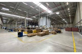 Gewerbeimmobilie mieten in 76756 Bellheim, Hochwertige Industrie-/Logistikhalle mit 8m UKB zu vermieten!