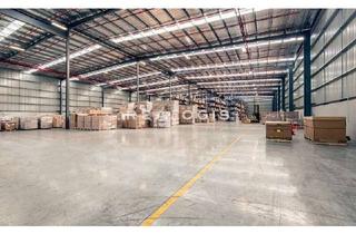 Gewerbeimmobilie mieten in 79353 Bahlingen, Regalierte Lager-/Logistikhalle auf Rampenniveau zu vermieten!