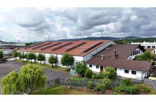Büro zu mieten in 36179 Bebra, Vielseitig nutzbare Warmhalle mit Büro- und Sozialräumen
