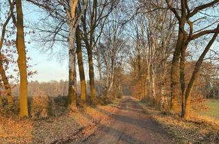 Grundstück zu kaufen in 19273 Neuhaus, Naturgrundstück