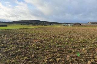 Grundstück zu kaufen in 53501 Grafschaft, Vier großzügige Baugrundstücke in sehr schöner Lage in Grafschaft-Esch