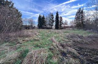 Grundstück zu kaufen in Dammstraße 14, 96103 Hallstadt, Ruhiges Grundstück in Dörfleins
