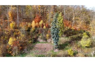 Immobilie kaufen in 99817 Eisenach, Ihr neues Zuhause - Attraktives Baugrundstück in exponierter sonniger Südstadtlage von Eisenach