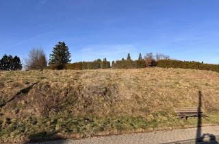 Immobilie kaufen in 58553 Halver, Halver-Oberbrügge: Sonniges Baugrundstück - ca. 7.500qm - unverbaubare Fernsicht