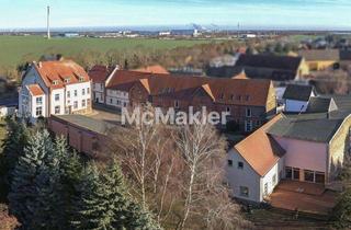 Anlageobjekt in 06780 Zörbig, Historischer Vier-Seitenhof mit parkähnlichem Anwesen voller Möglichkeiten vor den Toren Leipzigs