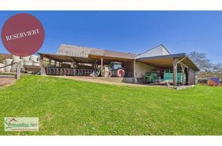 Bauernhaus kaufen in 54450 Freudenburg, Freudenburg - RENOVIERTER BAUERNHOF AUF 45 AR! IDEAL FÜR TIERFREUNDE & HOBBYSCHRAUBER!