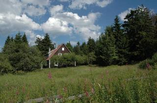 Wohnung kaufen in 38667 Bad Harzburg, Bad Harzburg - schöne 3 Zimmerwohnung im Torfhaus Nationalpark Harz