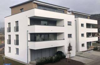 Wohnung kaufen in Friedhofstraße, 79206 Breisach, Neubau 4-Zimmerwohnung, 119qm , Friedhofstraße 8, 79206 Breisach